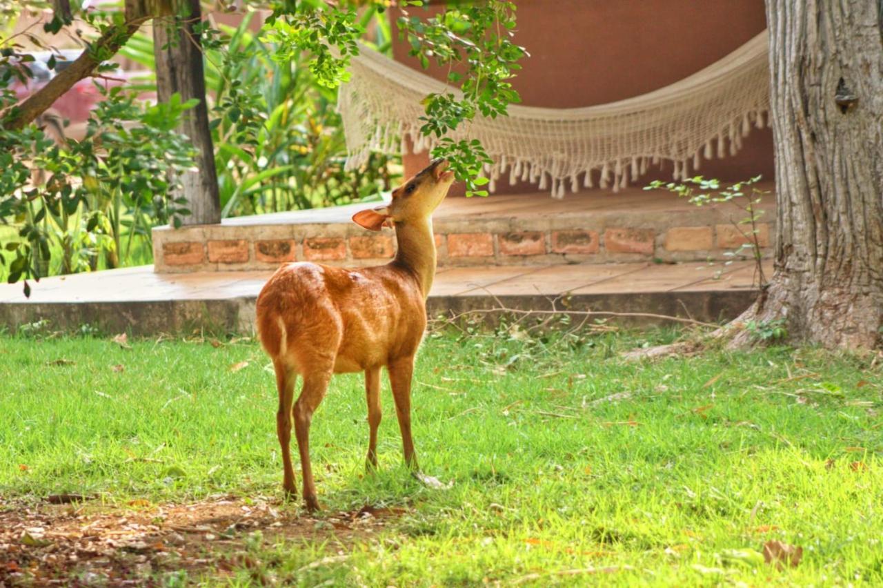 Aymara Lodge Поконе Экстерьер фото